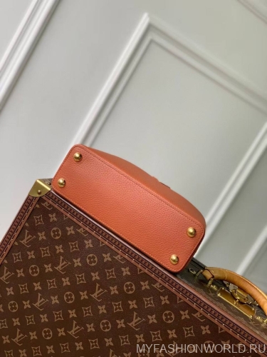 Сумка Louis Vuitton Capucines small