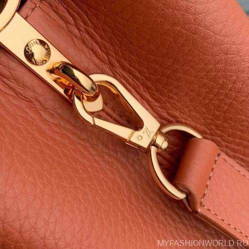 Сумка Louis Vuitton Capucines small