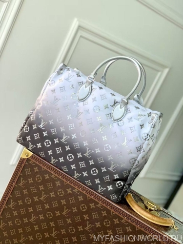 Сумка Louis Vuitton OnTheGo Snow M