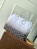 Сумка Louis Vuitton OnTheGo Snow M
