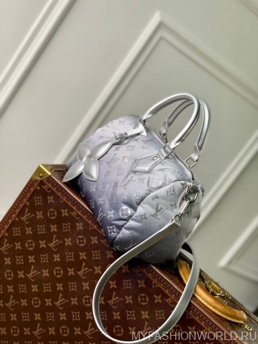 Сумка Louis Vuitton OnTheGo Snow S