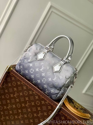 Сумка Louis Vuitton OnTheGo Snow S
