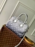 Сумка Louis Vuitton OnTheGo Snow S