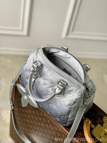 Сумка Louis Vuitton OnTheGo Snow S