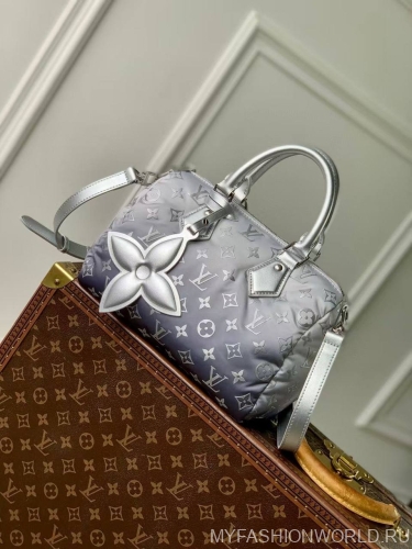 Сумка Louis Vuitton OnTheGo Snow S