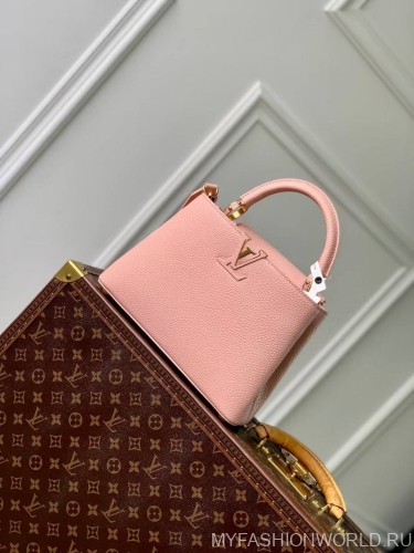 Сумка Louis Vuitton Capucines small