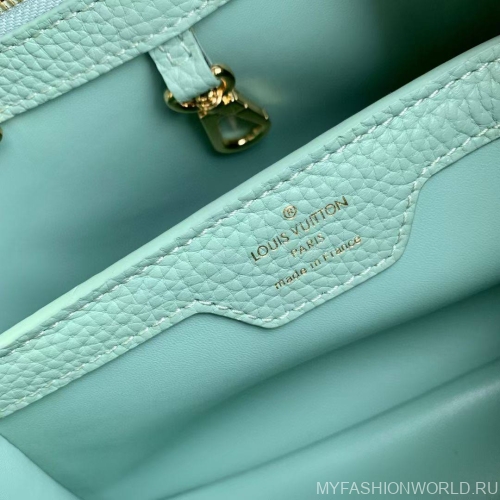 Сумка Louis Vuitton Capucines small