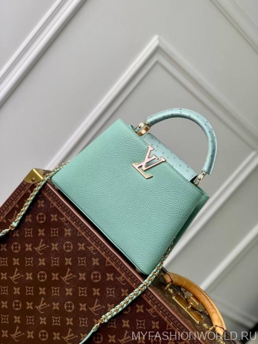 Сумка Louis Vuitton Capucines small