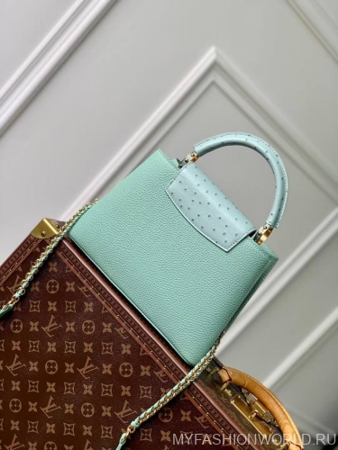 Сумка Louis Vuitton Capucines small
