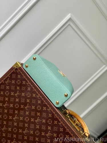 Сумка Louis Vuitton Capucines small