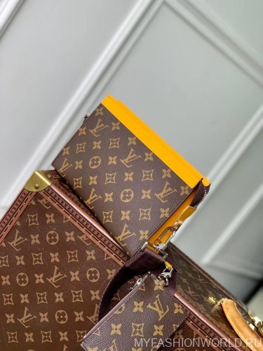 Клатч-кошелек Louis Vuitton Alpha