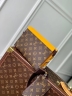 Клатч-кошелек Louis Vuitton Alpha