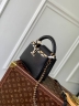 Сумка Louis Vuitton Capucines Mini