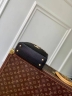 Сумка Louis Vuitton Capucines Mini