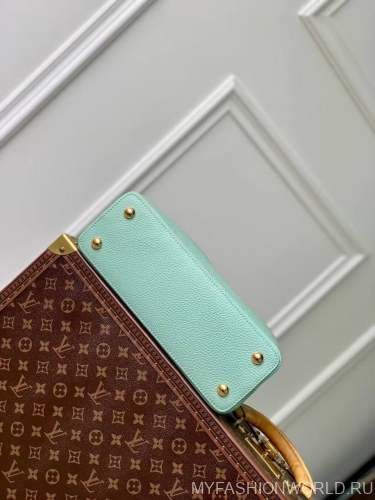 Сумка Louis Vuitton Capucines medium