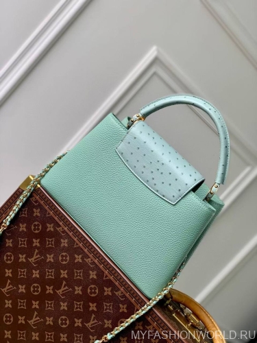 Сумка Louis Vuitton Capucines medium