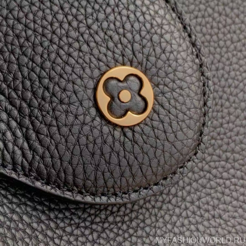 Сумка Louis Vuitton Capucines BB