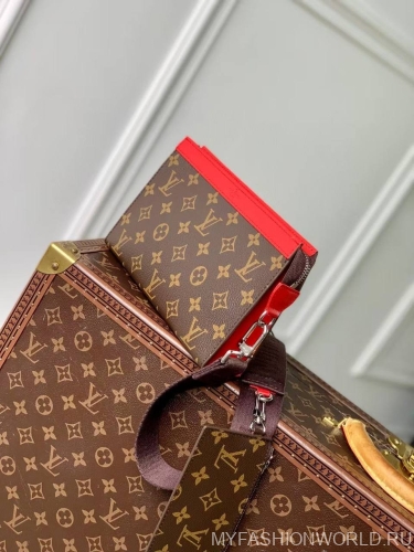 Клатч-кошелек Louis Vuitton Alpha