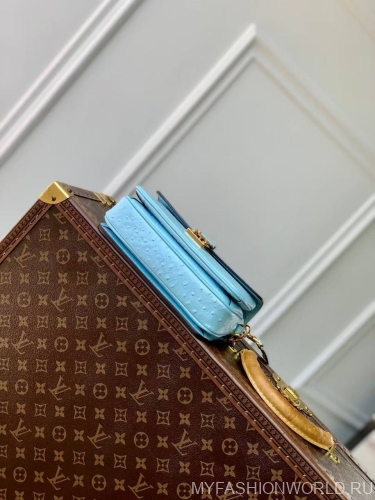 Сумка Louis Vuitton Pochette Métis East West