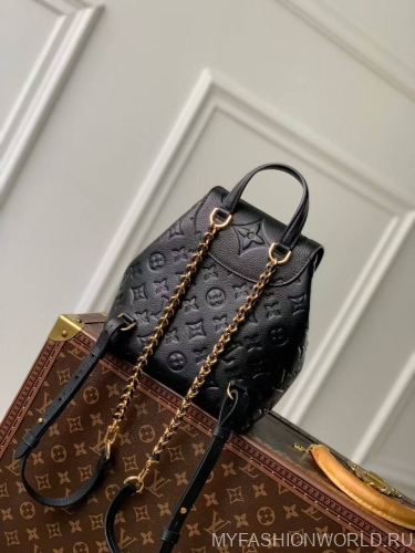 Рюкзак Louis Vuitton Backup