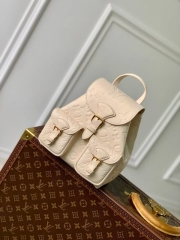Рюкзак Louis Vuitton Backup
