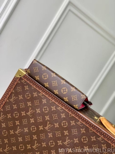 Клатч-кошелек Louis Vuitton Alpha