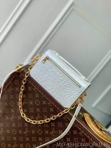 Сумка Louis Vuitton Pochette Métis East West
