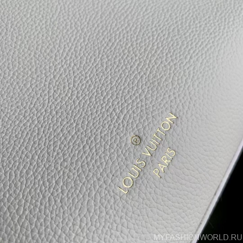 Сумка Louis Vuitton Lock And Go 