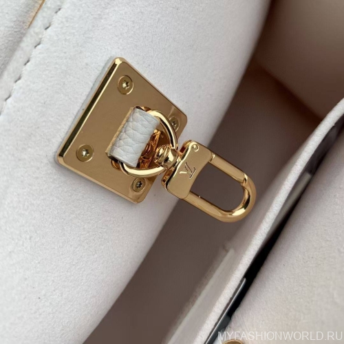 Сумка Louis Vuitton Lock And Go 