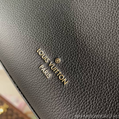 Сумка Louis Vuitton Lock And Go 