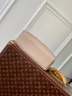 Сумка Louis Vuitton Dégradé Summer Bundle