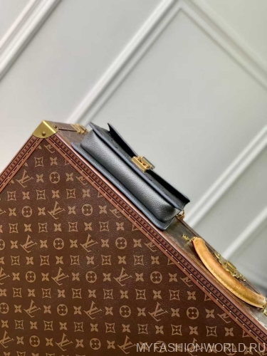 Сумка Louis Vuitton Metis