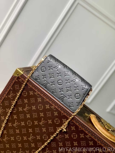Сумка Louis Vuitton Metis