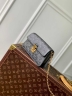 Сумка Louis Vuitton Metis