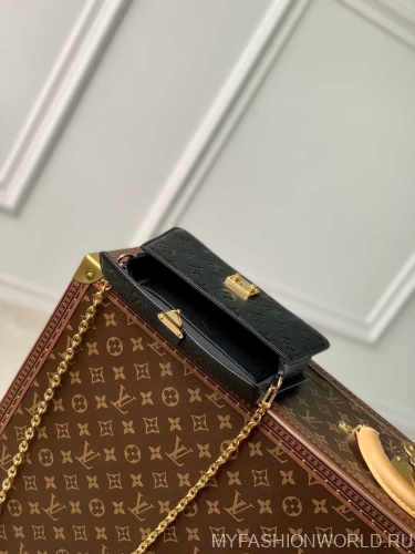 Сумка Louis Vuitton Metis