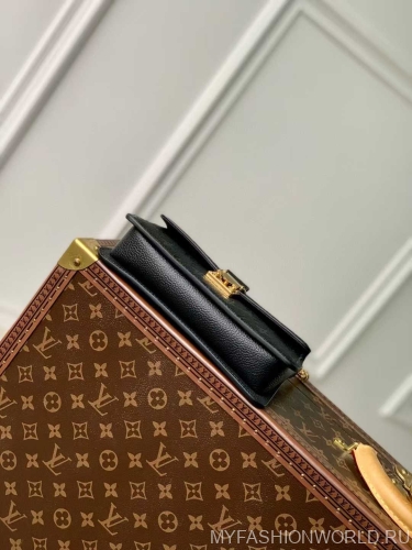 Сумка Louis Vuitton Metis