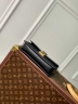 Сумка Louis Vuitton Metis