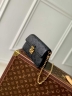 Сумка Louis Vuitton Metis