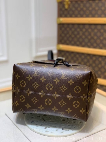 Рюкзак Louis Vuitton Montsouris PM