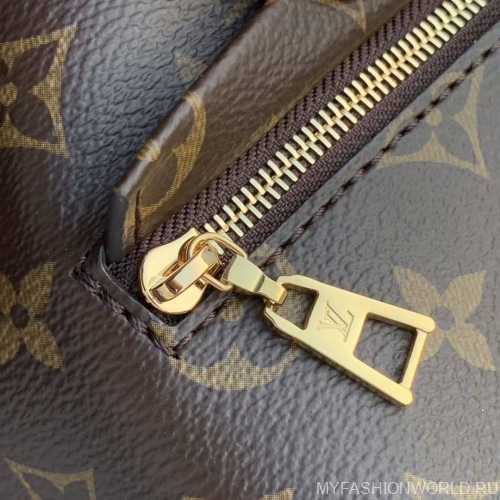 Рюкзак Louis Vuitton Montsouris PM