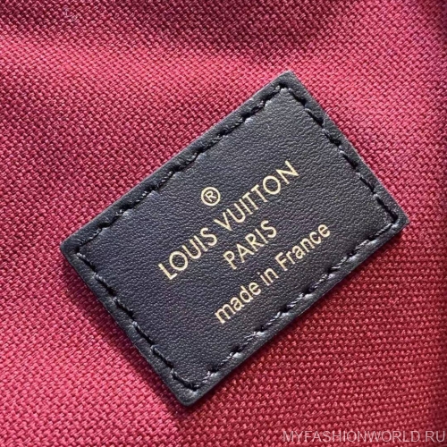 Рюкзак Louis Vuitton Montsouris PM