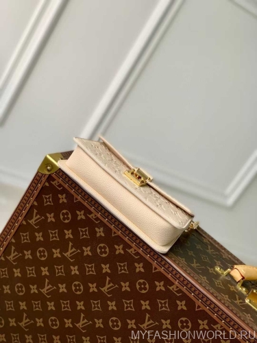 Сумка Louis Vuitton Metis​