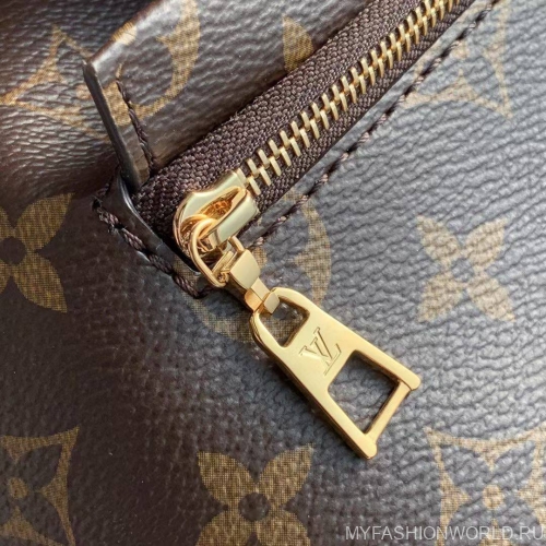 Рюкзак Louis Vuitton Montsouris PM