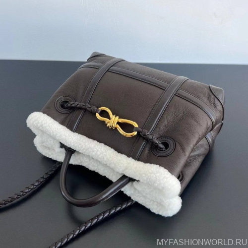 Сумка Bottega Veneta Andiamo Small