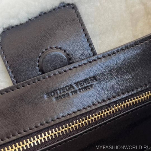 Сумка Bottega Veneta Andiamo Small