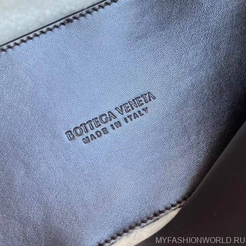 Сумка Bottega Veneta Andiamo Small