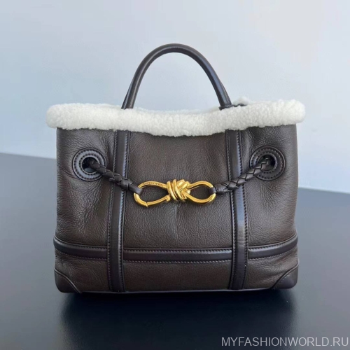 Сумка Bottega Veneta Andiamo Small