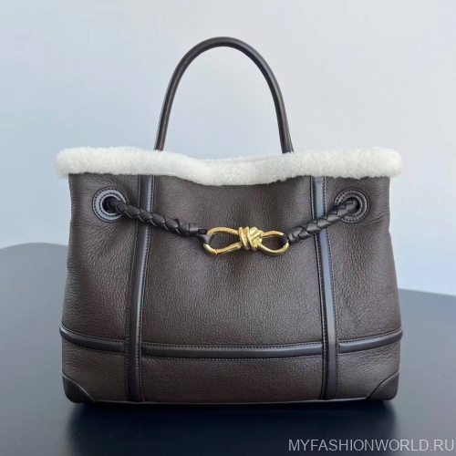 Сумка Bottega Veneta Andiamo Medium