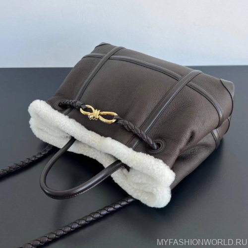 Сумка Bottega Veneta Andiamo Medium