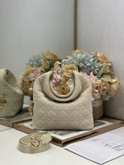 Сумка Dior Small Dior Toujours Hobo Bag замша